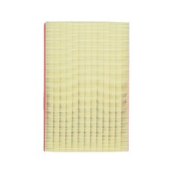 Filtro de Aire 24225-K HK