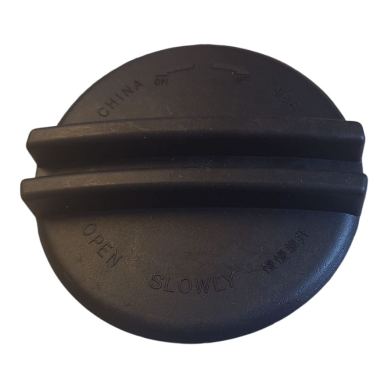 Tapa Deposito Auxiliar Radiador Chery Tiggo 8